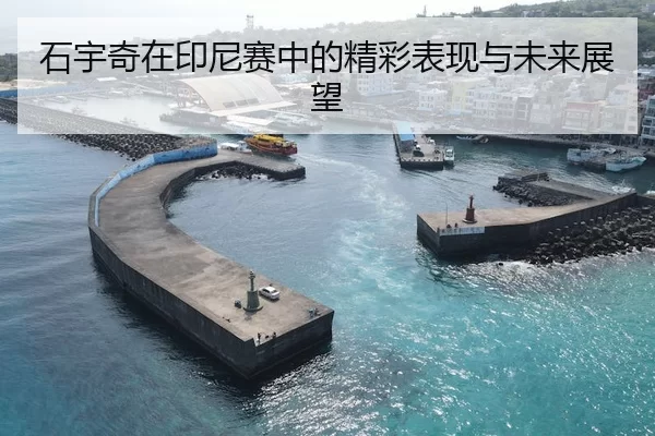 石宇奇在印尼赛中的精彩表现与未来展望